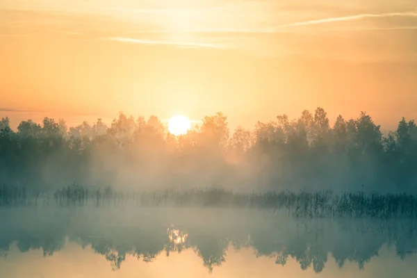 一个美丽的 五彩缤纷的景观的薄雾沼泽在日出 拉脱维亚 北欧的大气 宁静的湿地风光与阳光 — 图库照片