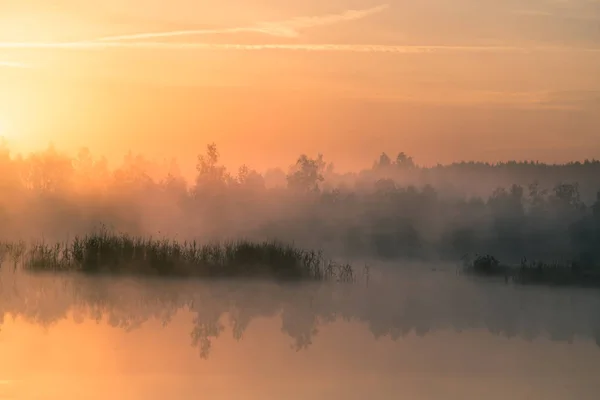 Eine Wunderschöne Farbenfrohe Landschaft Eines Nebeligen Sumpfes Während Des Sonnenaufgangs — Stockfoto