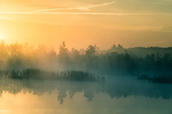 Eine Wunderschöne Farbenfrohe Landschaft Eines Nebeligen Sumpfes Während Des Sonnenaufgangs — Stockfoto