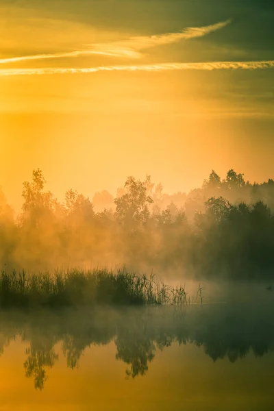 A beautiful, colorful landscape of a misty swamp during the sunrise. Atmospheric, tranquil wetland scenery with sun in Latvia, Northern Europe.