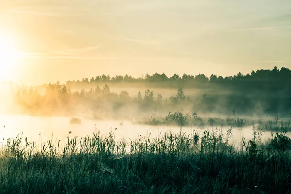 Piękny Kolorowy Krajobraz Zamglone Bagna Podczas Sunrise Podmokłych Atmosferyczne Spokojnej — Zdjęcie stockowe