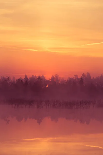 Ein Schöner Rosafarbener Sonnenaufgang Über Dem Sumpf Sonnenaufgang Feuchtgebieten Violette — Stockfoto