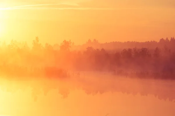 Piękny Różowy Świt Ower Bagno Wschodzącego Słońca Atmosferze Mglisty Mokradeł — Zdjęcie stockowe