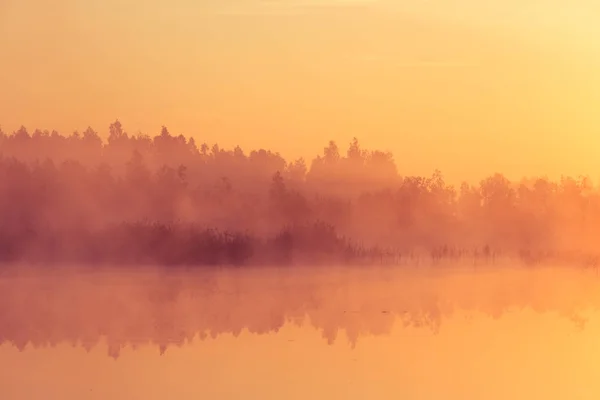 Beautiful Pink Sunrise Ower Swamp Sun Rising Wetlands Purple Misty — Stock Photo, Image