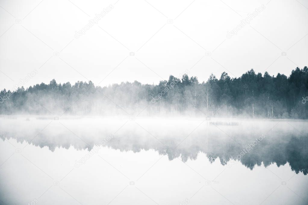 A beautiful, colorful landscape of a misty swamp during the sunrise. Atmospheric, tranquil wetland scenery with sun in Latvia, Northern Europe.