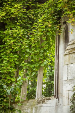 Güzel bir eski kilise Parkı Londra'nın haline dönüştürdü. Tarihi mimarisiyle manzara.