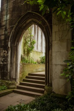Londra terk edilmiş bir kilisede bir güzel ayrıntıları. Ivy büyüme Harabeleri binasında. Güzel, zarif bir görünüm.