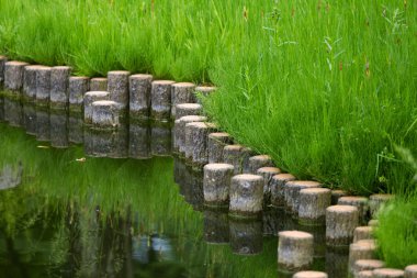 Waterside Londra'nın güzel bir sahne. Bitki örtüsü ile renkli yaz bak.