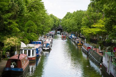Waterside Londra'nın güzel bir sahne. Bitki örtüsü ile renkli yaz bak.