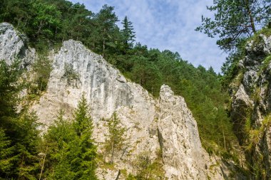 Kayalıklarla düşük Tatra bölgedeki orman içinde güzel bir manzara. Güneşli bir gün, Slovakya, Europe renkli sahne.