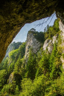 Kayalıklarla düşük Tatra bölgedeki orman içinde güzel bir manzara. Güneşli bir gün, Slovakya, Europe renkli sahne.