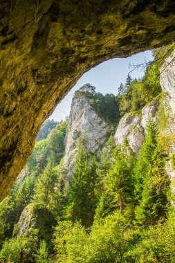 Kayalıklarla düşük Tatra bölgedeki orman içinde güzel bir manzara. Güneşli bir gün, Slovakya, Europe renkli sahne.