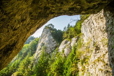 Kayalıklarla düşük Tatra bölgedeki orman içinde güzel bir manzara. Güneşli bir gün, Slovakya, Europe renkli sahne.