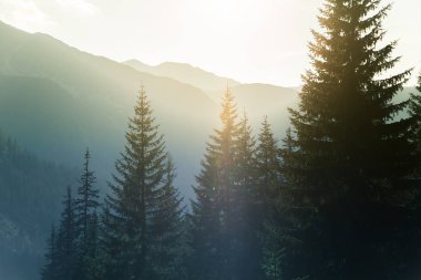 Sunset yakınında bir dağlarının rüya gibi puslu bir manzara. Güneş flas\re ve mavi tonlarda puslu bir görünüm. Akşam dağ manzarası. Tatra Dağları Slovakya, Europe.