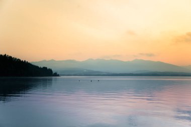 Çok güzel bir sabah peyzaj dağlar mesafe ile dağ gölde yüzmeye ördekler ile. Günbatımı manzara hafif renklerde. Doğal yaşam alanı içinde kuşlar. Tatra Dağları Slovakya, Europe.