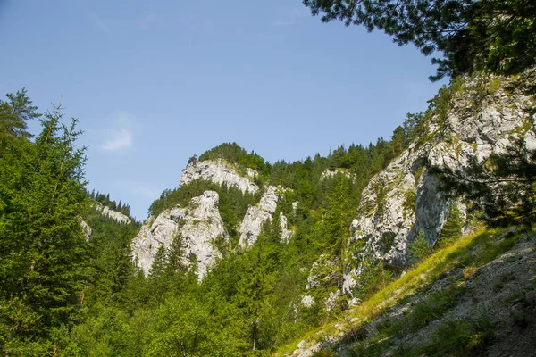 Kayalıklarla düşük Tatra bölgedeki orman içinde güzel bir manzara. Güneşli bir gün, Slovakya, Europe renkli sahne.