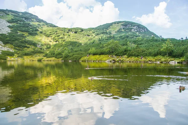 Dağ Gölde Yüzmeye Bir Güzel Kahverengi Kadın Ördek Dağ Manzarası — Stok fotoğraf