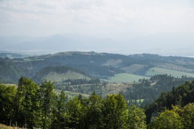 Slovakya, Europe Tatra Dağları'nda bir güzel dağ manzarası. Dağlar ve orman ile yaz sahne.