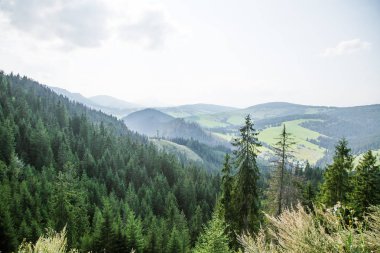 Slovakya, Europe Tatra Dağları'nda bir güzel dağ manzarası. Dağlar ve orman ile yaz sahne.