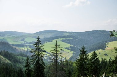 Slovakya, Europe Tatra Dağları'nda bir güzel dağ manzarası. Dağlar ve orman ile yaz sahne.