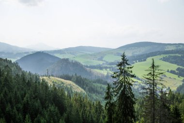 Slovakya, Europe Tatra Dağları'nda bir güzel dağ manzarası. Dağlar ve orman ile yaz sahne.