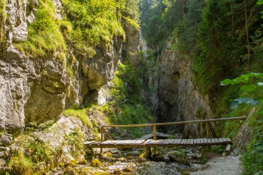 Slovakya düşük Tatra bölgesinde bir güzel yürüyüş iz. Dağ ve orman yolunda yürüyorum. Yaz manzara.