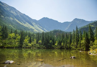 Güzel, temiz bir sakin, güneşli gün dağ vadisinde gölde. Yaz aylarında su ile dağ manzarası. Tatry dağlara Slovakya, Europe.