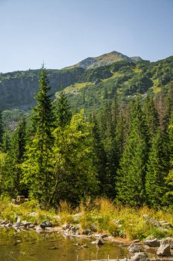 Güzel, temiz bir sakin, güneşli gün dağ vadisinde gölde. Yaz aylarında su ile dağ manzarası. Tatry dağlara Slovakya, Europe.