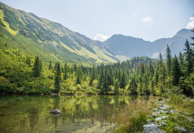 Güzel, temiz bir sakin, güneşli gün dağ vadisinde gölde. Yaz aylarında su ile dağ manzarası. Tatry dağlara Slovakya, Europe.