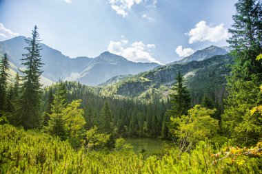 Güzel, temiz bir sakin, güneşli gün dağ vadisinde gölde. Yaz aylarında su ile dağ manzarası. Tatry dağlara Slovakya, Europe.