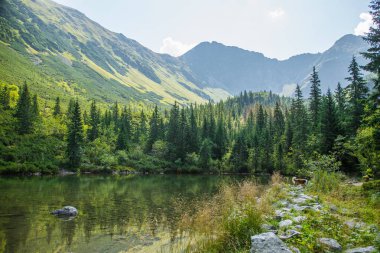 Güzel, temiz bir sakin, güneşli gün dağ vadisinde gölde. Yaz aylarında su ile dağ manzarası. Tatry dağlara Slovakya, Europe.