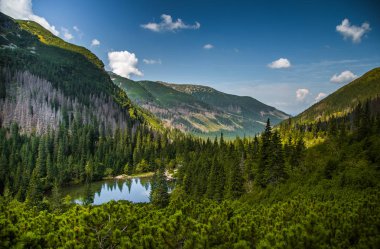 Güzel, temiz bir sakin, güneşli gün dağ vadisinde gölde. Yaz aylarında su ile dağ manzarası. Tatry dağlara Slovakya, Europe.