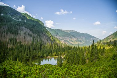Güzel, temiz bir sakin, güneşli gün dağ vadisinde gölde. Yaz aylarında su ile dağ manzarası. Tatry dağlara Slovakya, Europe.