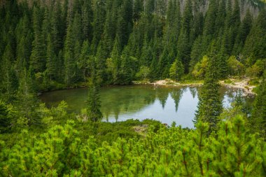 Güzel, temiz bir sakin, güneşli gün dağ vadisinde gölde. Yaz aylarında su ile dağ manzarası. Tatry dağlara Slovakya, Europe.