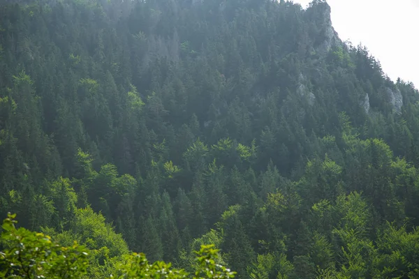 Beautiful Mountain Landscape Tatra Mountains Slovakia Europe Summer Scenery Mountains — Stock Photo, Image