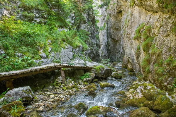 Μια Όμορφη Πεζοπορική Διαδρομή Στην Περιοχή Low Tatra Της Σλοβακίας — Φωτογραφία Αρχείου