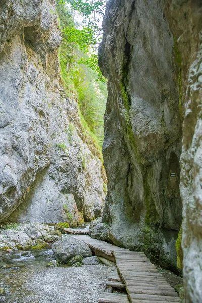 Een Mooie Wandelweg Lage Tatra Regio Slowakije Wandelpad Bergen Bossen — Stockfoto