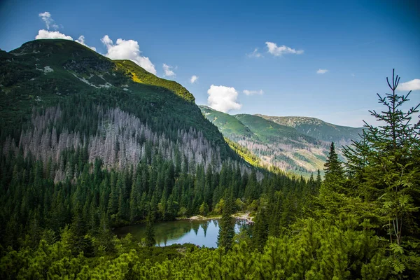 Güzel, temiz bir sakin, güneşli gün dağ vadisinde gölde. Yaz aylarında su ile dağ manzarası. Tatry dağlara Slovakya, Europe.