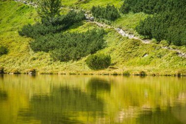 Güzel, temiz bir sakin, güneşli gün dağ vadisinde gölde. Yaz aylarında su ile dağ manzarası. Tatry dağlara Slovakya, Europe.