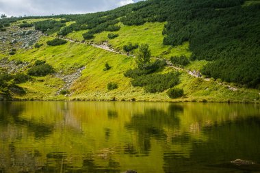 Güzel, temiz bir sakin, güneşli gün dağ vadisinde gölde. Yaz aylarında su ile dağ manzarası. Tatry dağlara Slovakya, Europe.