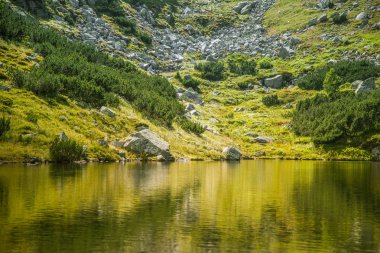 Güzel, temiz bir sakin, güneşli gün dağ vadisinde gölde. Yaz aylarında su ile dağ manzarası. Tatry dağlara Slovakya, Europe.