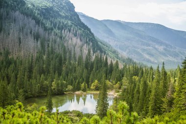 Güzel, temiz bir sakin, güneşli gün dağ vadisinde gölde. Yaz aylarında su ile dağ manzarası. Tatry dağlara Slovakya, Europe.
