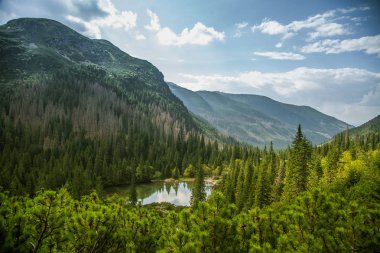 Güzel, temiz bir sakin, güneşli gün dağ vadisinde gölde. Yaz aylarında su ile dağ manzarası. Tatry dağlara Slovakya, Europe.