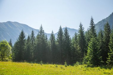 Güzel yaz manzara dağlarda. Doğal sahne Dağları Milli Parkı'nda. Tatra Dağları Slovakya, Europe.