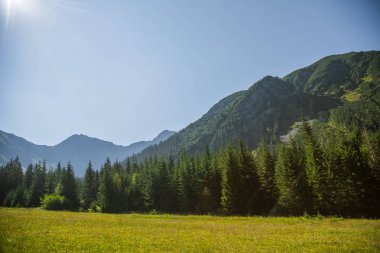 Güzel yaz manzara dağlarda. Doğal sahne Dağları Milli Parkı'nda. Tatra Dağları Slovakya, Europe.