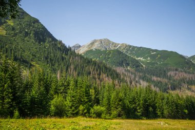 Güzel yaz manzara dağlarda. Doğal sahne Dağları Milli Parkı'nda. Tatra Dağları Slovakya, Europe.
