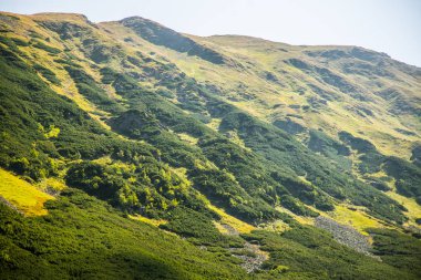 Güzel yaz manzara dağlarda. Doğal sahne Dağları Milli Parkı'nda. Tatra Dağları Slovakya, Europe.