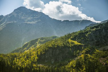 Güzel yaz manzara dağlarda. Doğal sahne Dağları Milli Parkı'nda. Tatra Dağları Slovakya, Europe.