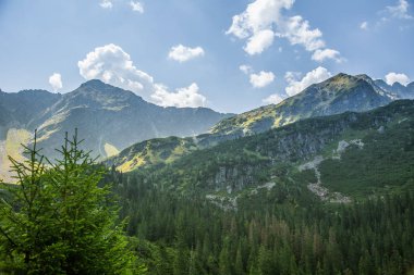 Güzel yaz manzara dağlarda. Doğal sahne Dağları Milli Parkı'nda. Tatra Dağları Slovakya, Europe.