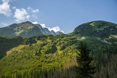Güzel yaz manzara dağlarda. Doğal sahne Dağları Milli Parkı'nda. Tatra Dağları Slovakya, Europe.